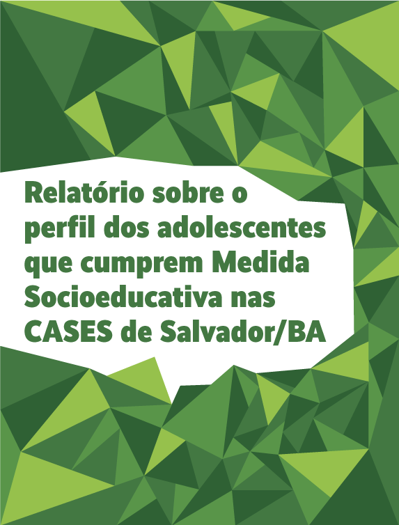 Relatório sobre o perfil dos adolescentes que cumprem Medida Socioeducativa nas CASES de Salvador/BA