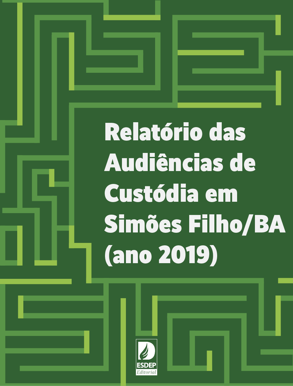 Relatório das Audiências de Custódia em Simões Filho (ano 2019)