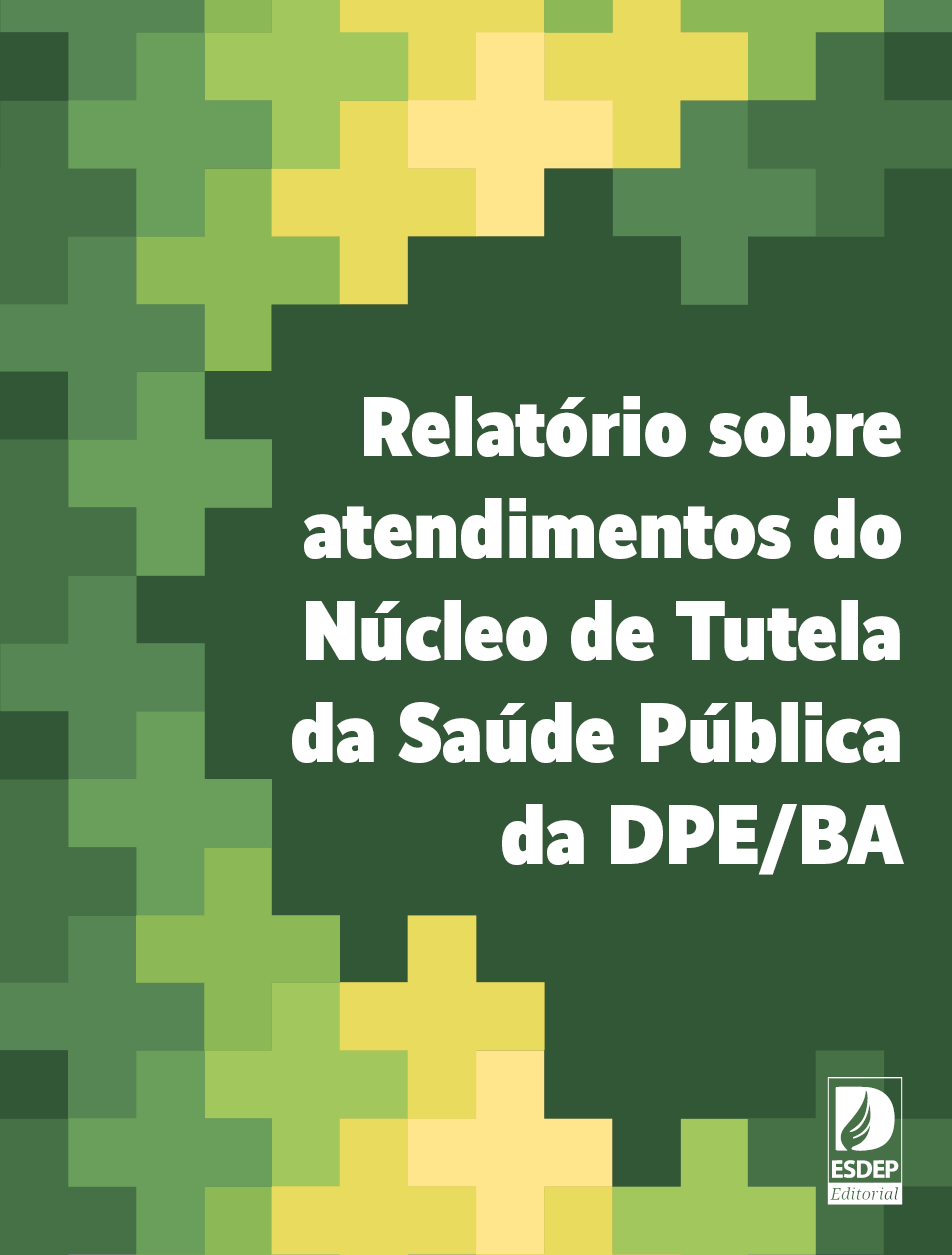 Relatório sobre atendimentos do Núcleo de Tutela da Saúde Pública da DPE/BA