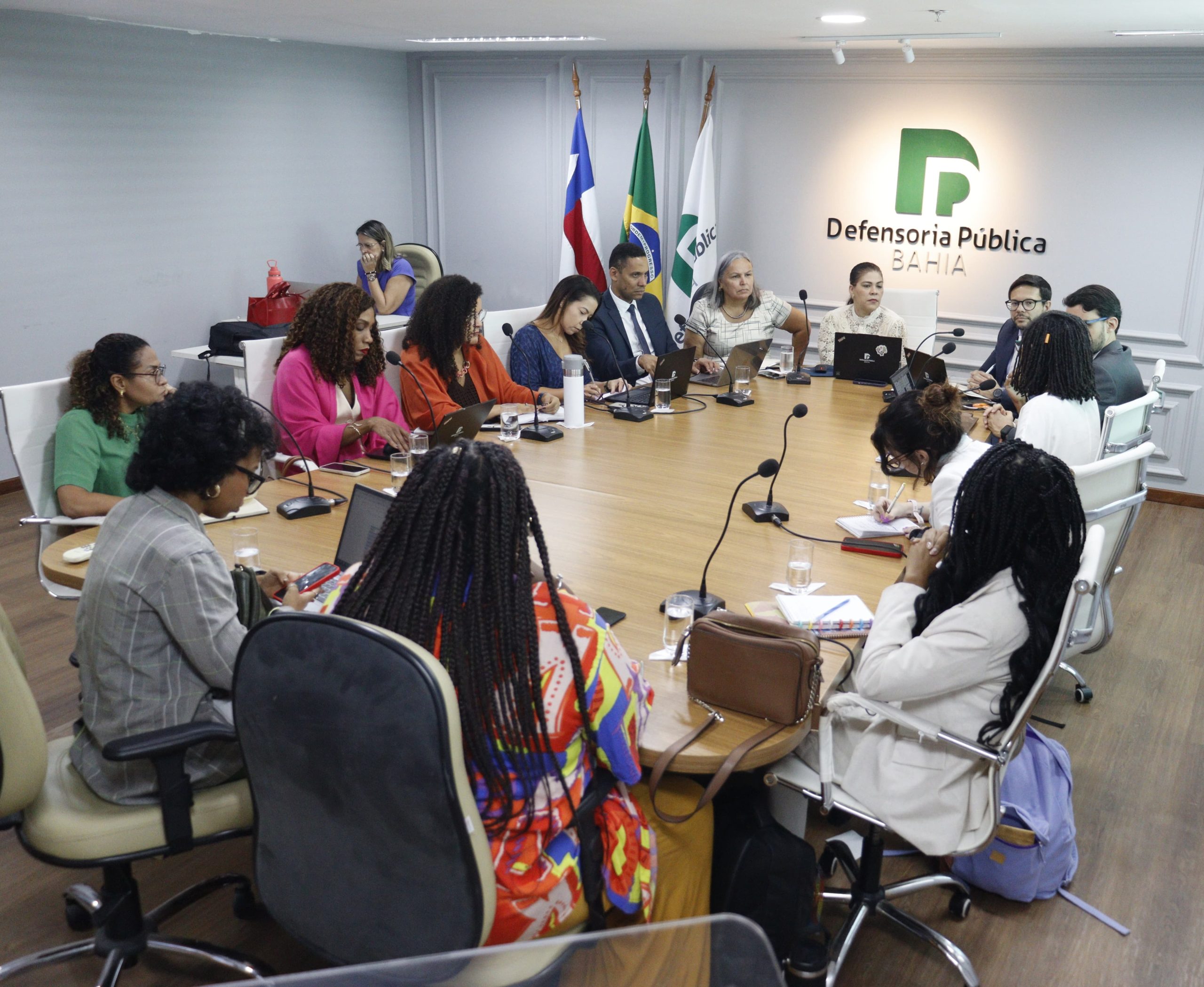 DPE se reúne com a Anistia Internacional e outras organizações para discutir direitos humanos